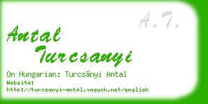 antal turcsanyi business card